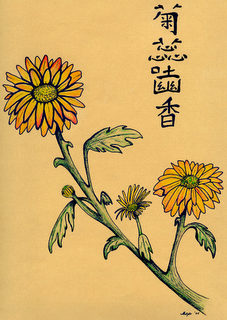 chrysanthemums